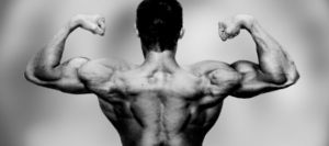 High Frequency Training Revealed